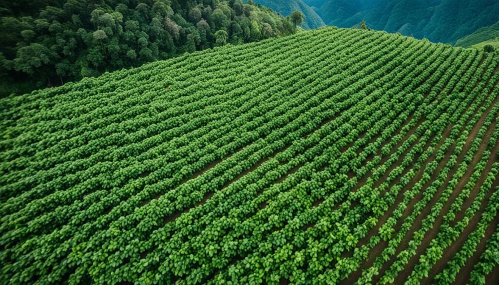 Colombian Coffee Innovations